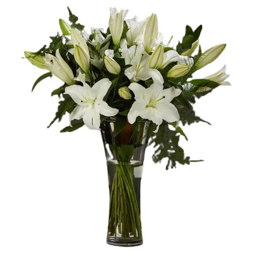Moonlight White Asiatic Lily in Vase
