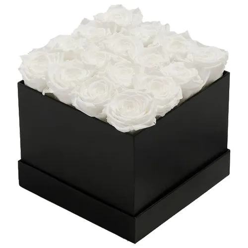 Black Box of White Roses