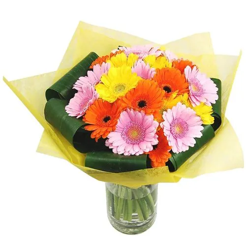Glorious Tissue Wrapped Assorted Gerberas in Round Glass Vase