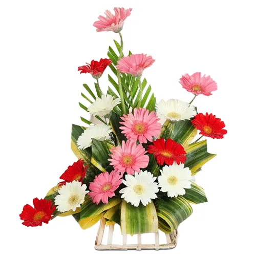 Breathtaking Designer Arrangement of 7 Gerberas with Hypnotic Wishes