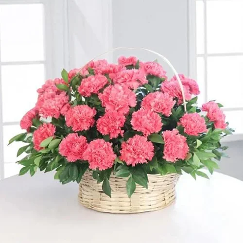Pink Carnation Exclusiveness Basket