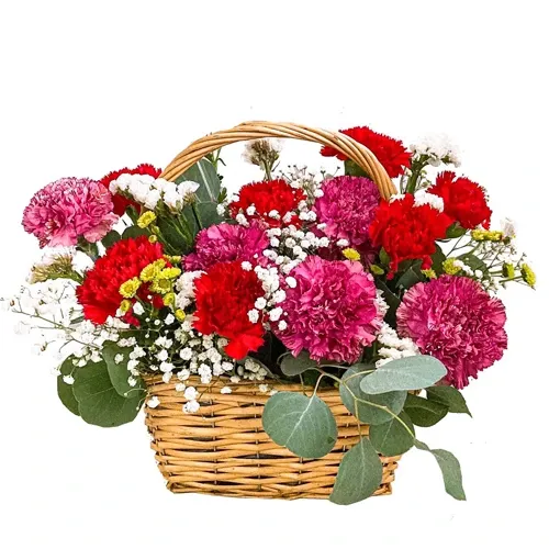 Artistic 30 Mixed Carnations in a Beautiful Bouquet