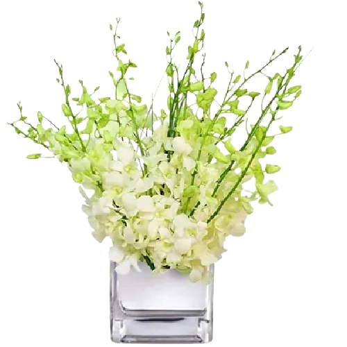 Impressive White Orchids Vase Arrangement