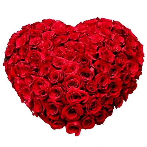 Designed Arrangement in Heart Shaped of 150 Dutch Roses in Red