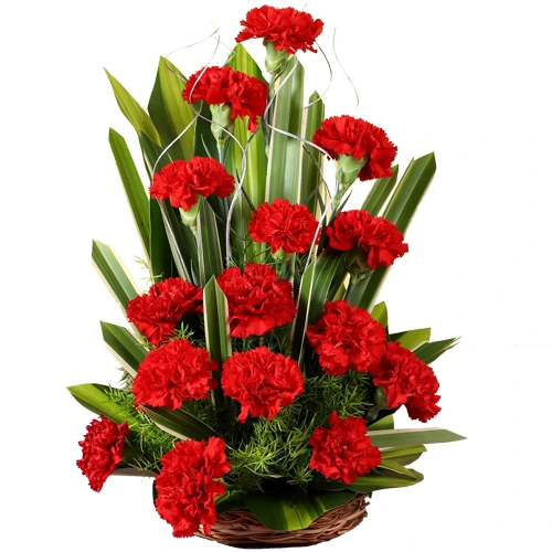 Mesmerizing Basket of Red Carnations