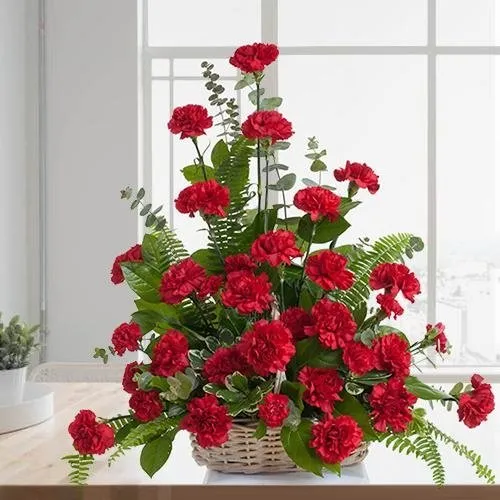 Bliss of Red Carnations