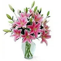 Tender Oriental Pink Lilies in Vase