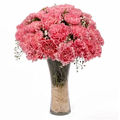 Pretty Pink Carnations in a Vase
