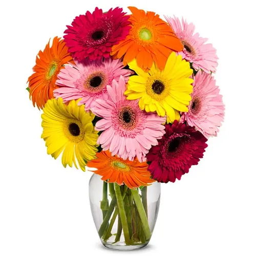 Lovely Assorted Gerberas in a Glass Vase