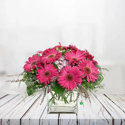 Prettiness Pink Gerberas