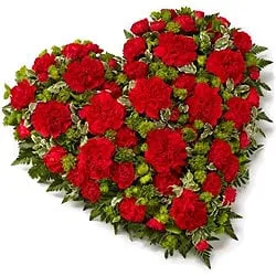 Scintillating 24 Red Carnations in Heart Shape
