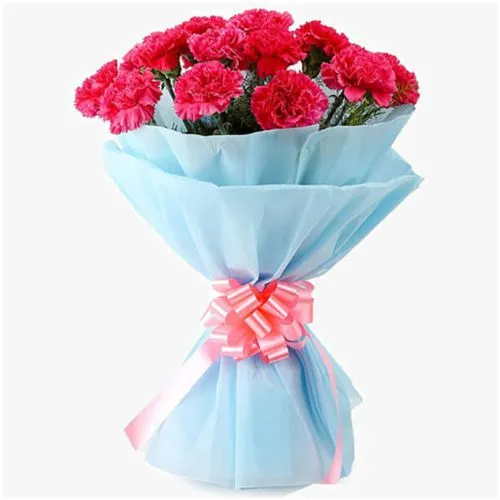 Cherished Love Pink Carnations