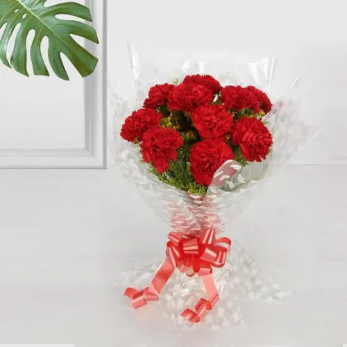 Rarest Red Carnations