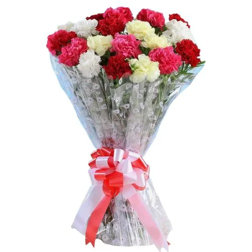 Lovely Mixed Carnations Bouquet