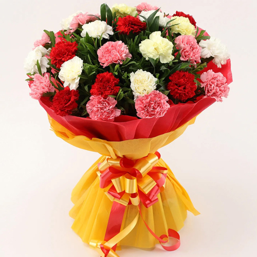 10 Mixed Carnations Tissue Wrapped Bouquet