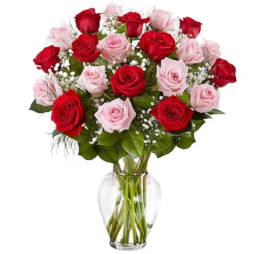 Display of Roses in a Vase