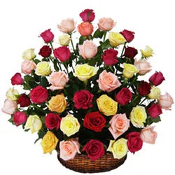 Wonderful Mix Coloured Roses Collection in Basket