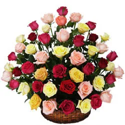 Color Crazy Rosy Basket