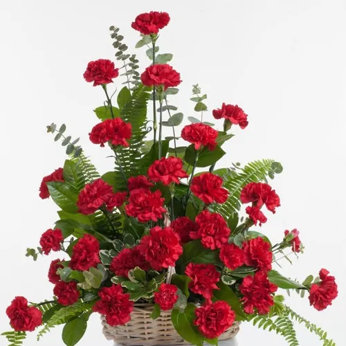 Classic Arrangement of Red Carnations