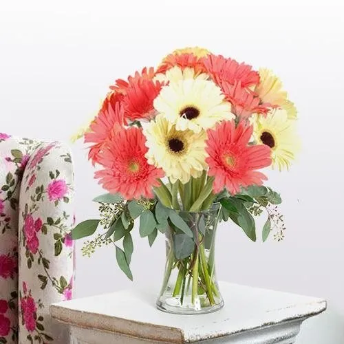 Enigmatic Gerbera Assemblage