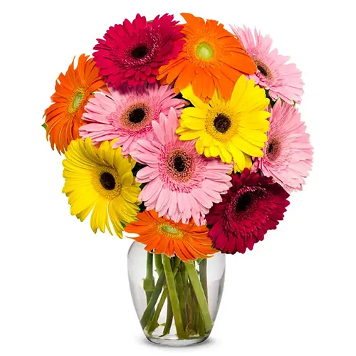 Vase of Gerbera Joy