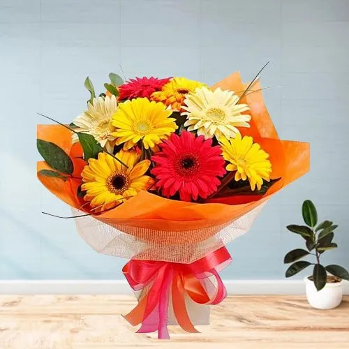 Charming Gerberas Bouquet