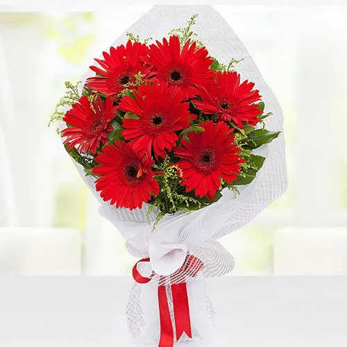 Attractive Red Gerberas Bouquet