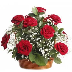 Stylish Arrangement of Red Roses for Birthday