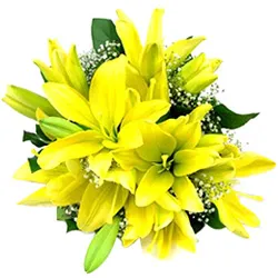 Delightful Bouquet of Yellow Lilies for Anniversary