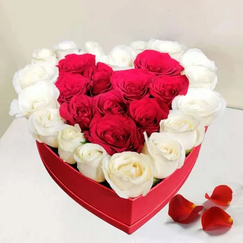 Luxurious Roses in Love Box