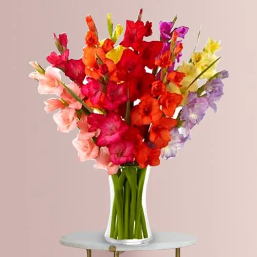 Striking Mix Color Gladiolus in a Glass Vase
