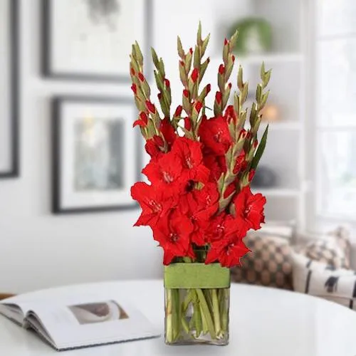 Alluring Red Gladiolus in a Glass Vase