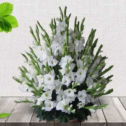 Graceful Basket Full of White Gladiolus