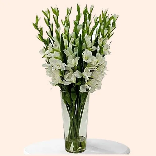 Pristine Glow Gladiolus in Vase