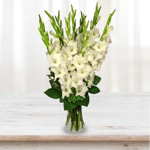 Breathtaking Display of White Gladiolus in a Glass Vase