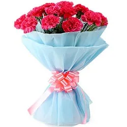 Special Bouquet of Pink Carnations