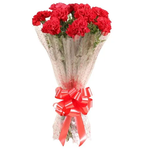 Exquisite Bouquet of Red Carnations