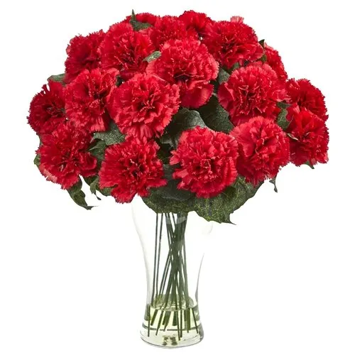 Red Carnations in Glass Vase