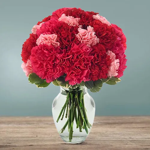 Lovely Pink N Red Carnations in Vase