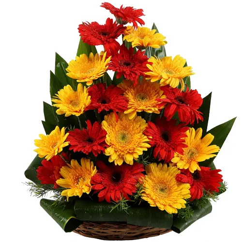 Attractive Arrangement of Red N Yellow Gerberas