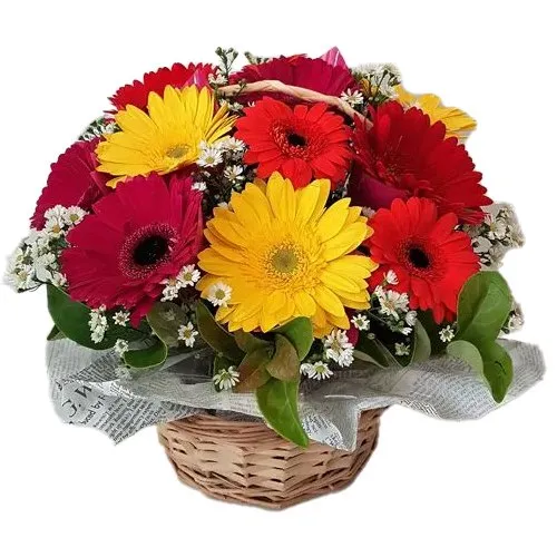 Pretty Arrangement of Assorted Gerberas