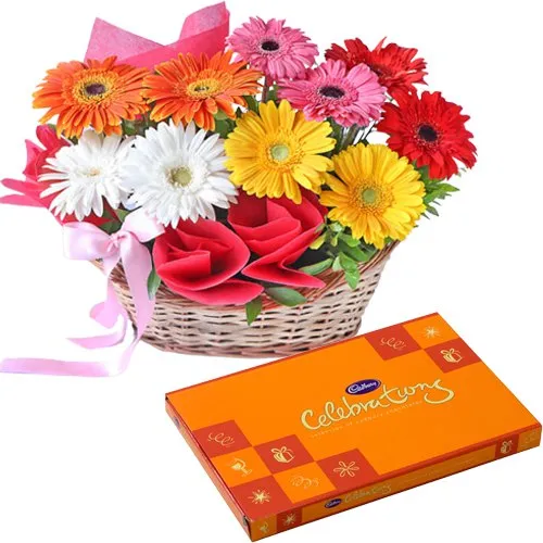 Combo of Gerberas Basket N Cadbury Celebrations Pack