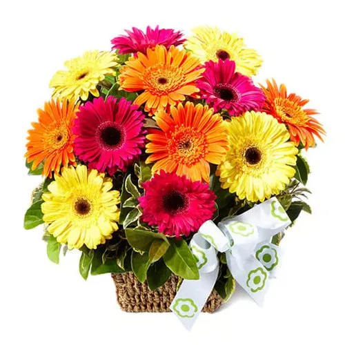 Appealing Gerbera Mixed Bag