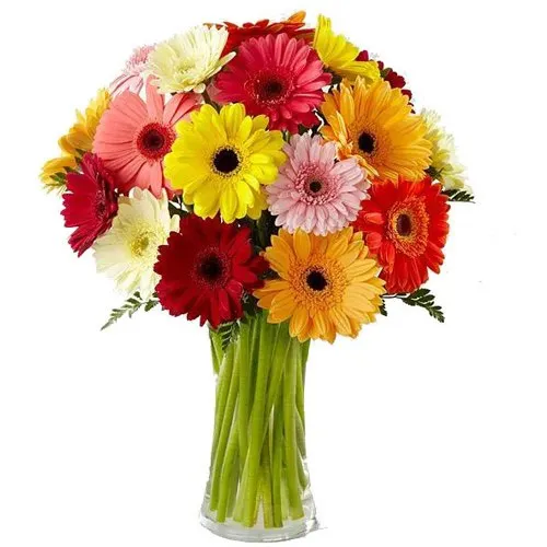 Vibrant Mixed Gerberas in Glass Vase