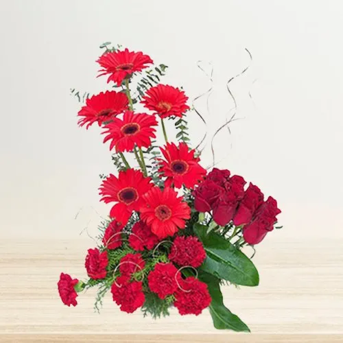 Carnations n Rosy Gerberas