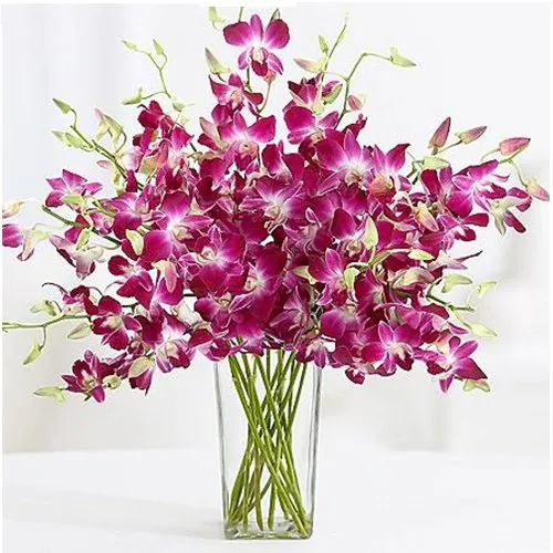 Glamorous Orchids in Glass Vase
