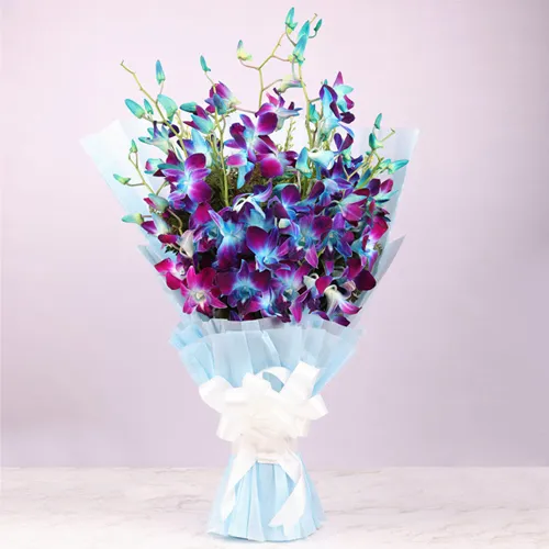 Exquisite Bunch of Orchids