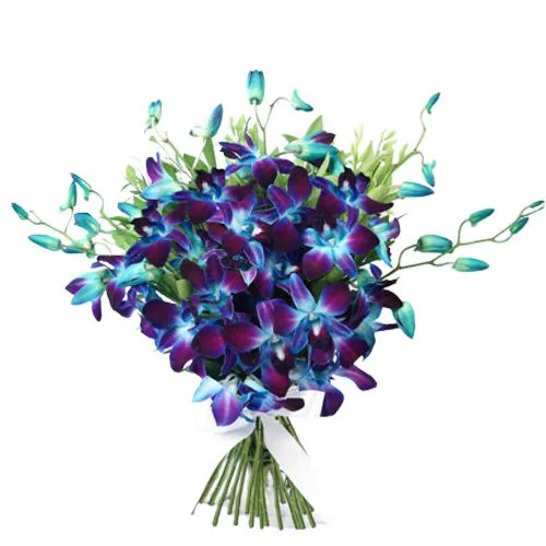 Exclusive Bouquet of Blue Orchids