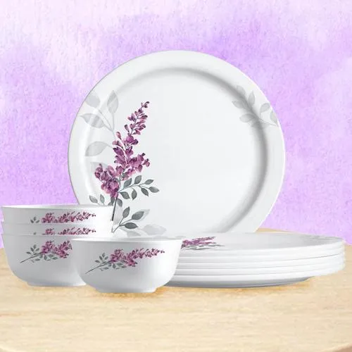 Stunning Melamine Dinner Set from Milton