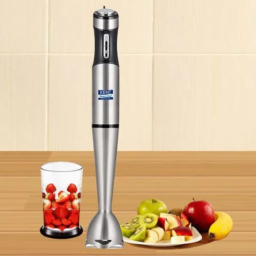 Classy KENT Stainless Steel Hand Blender